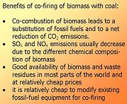 Biomass Co-Combustion – European Biomass Industry Association